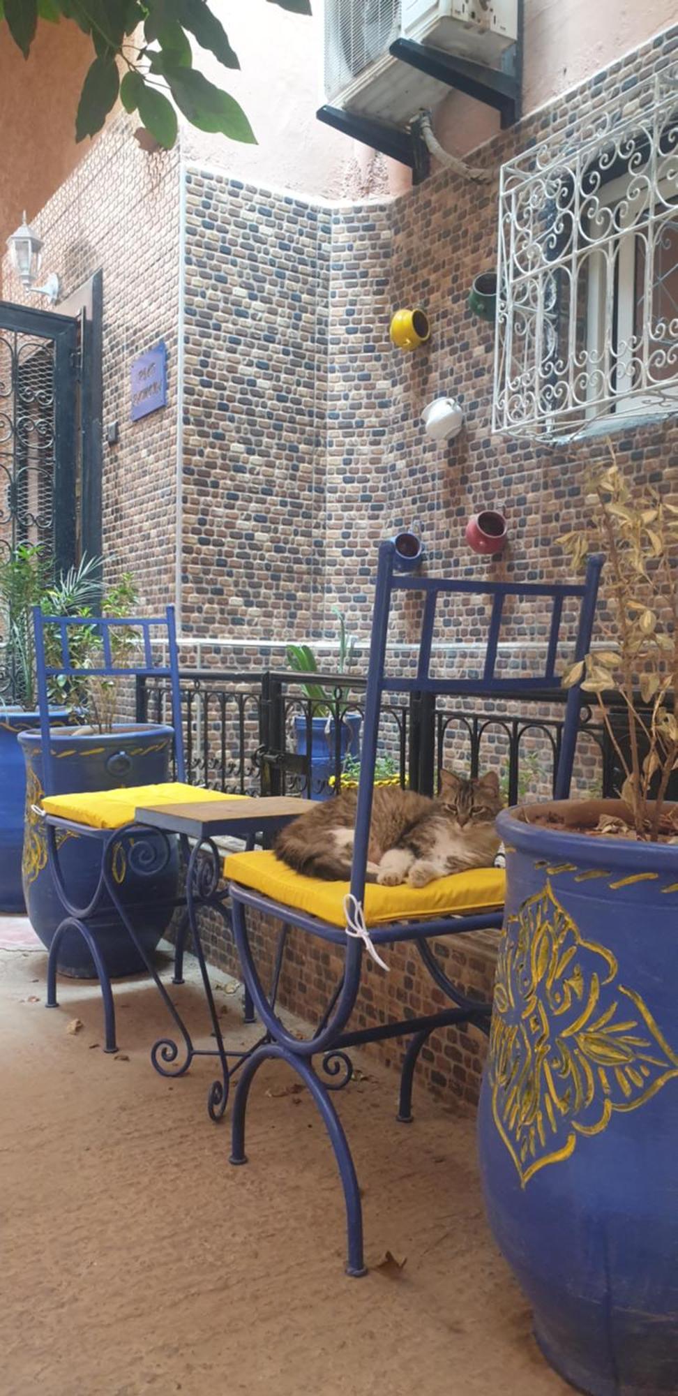 Riad Ramona Lqariya Seyaheya Marrakesh Buitenkant foto